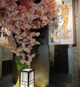 Neko Sushi Restaurant