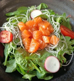 Neko Sushi Restaurant