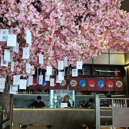 Neko Sushi Restaurant Budapest - Belső