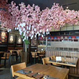 Neko Sushi Restaurant Budapest - Belső