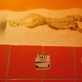 Nemdebár Budapest - Belső