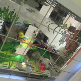 Nemzetközi Kínai Büfé Budapest - Belső