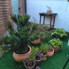 Newsee Teázó Szentendre - Belső