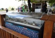 NG Café & Terasz Budapest