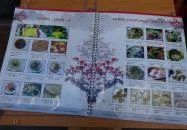 No 1 Asian Bistro Budapest