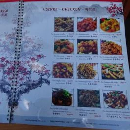 No 1 Asian Bistro Budapest - Étlap/itallap