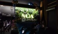 NOA Mixology Budapest - Belső