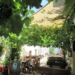 Noah Étterem, Fertőrákos - Egyéb