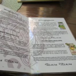 Noah Étterem, Fertőrákos - Egyéb