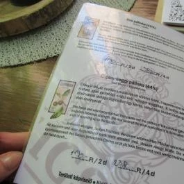 Noah Étterem, Fertőrákos - Egyéb