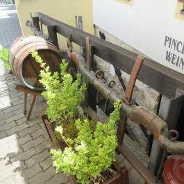 Noah Étterem, Fertőrákos - Egyéb