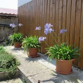 Noah Étterem, Fertőrákos - Egyéb