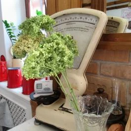 Noah Étterem, Fertőrákos - Egyéb