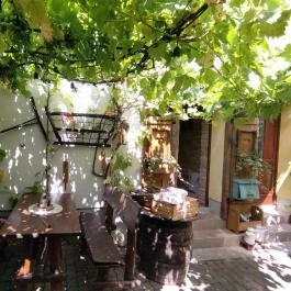 Noah Étterem, Fertőrákos - Egyéb