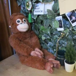 Nothing Cafe Budapest - Egyéb