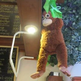 Nothing Cafe Budapest - Egyéb