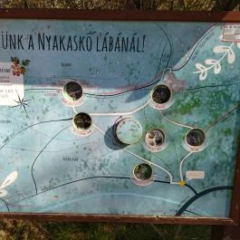 Nyakas-kő Biatorbágy - Egyéb