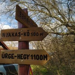 Nyakas-kő Biatorbágy - Egyéb