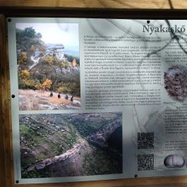 Nyakas-kő Biatorbágy - Egyéb