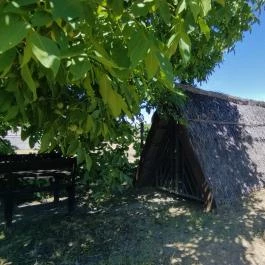 Ócsa Öreghegyi pincesor, Ócsa - Egyéb