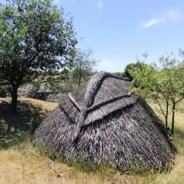 Ócsa Öreghegyi pincesor, Ócsa - Egyéb