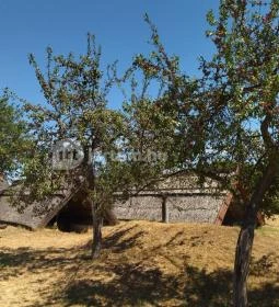 Ócsa Öreghegyi pincesor