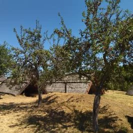 Ócsa Öreghegyi pincesor, Ócsa - Egyéb