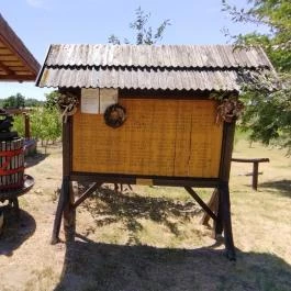 Ócsa Öreghegyi pincesor, Ócsa - Egyéb