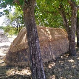 Ócsa Öreghegyi pincesor, Ócsa - Egyéb