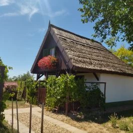 Ócsa Öreghegyi pincesor, Ócsa - Egyéb