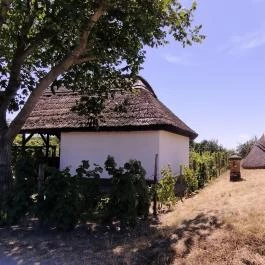 Ócsa Öreghegyi pincesor, Ócsa - Egyéb