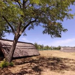 Ócsa Öreghegyi pincesor, Ócsa - Egyéb