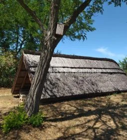 Ócsa Öreghegyi pincesor