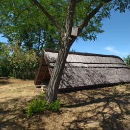 Ócsa Öreghegyi pincesor, Ócsa - Egyéb