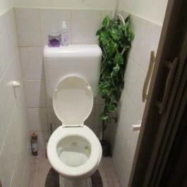 Oishi Sushi - Dohány utca Budapest - Egyéb