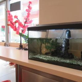 Oishi Sushi - Fényes Elek utca Budapest - Egyéb