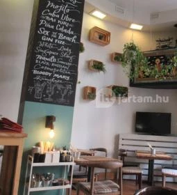 Okiko Sushi & Thai Bar