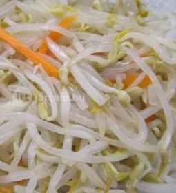 Olimpia Kínai Gyorsétterem