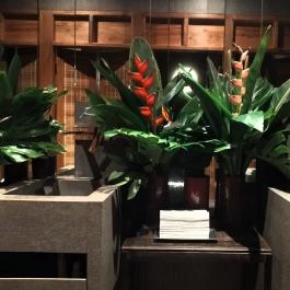 OPIUM Restaurant & Bar Budapest - Mosdó