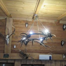 Ördögmalom Erdei Étterem, Visegrád - Egyéb