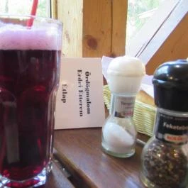 Ördögmalom Erdei Étterem, Visegrád - Egyéb