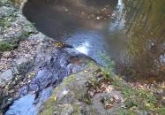 Ördögmalom-vízesés Visegrád