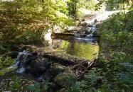 Ördögmalom-vízesés Visegrád