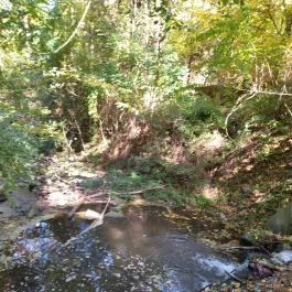 Ördögmalom-vízesés, Visegrád - Egyéb