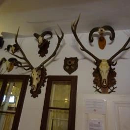 Öreg Prés Étterem Mór - Belső