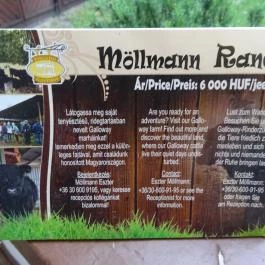 Öreg Prés Butikhotel, Mór - Környék