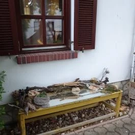 Öreg Prés Butikhotel, Mór - Külső kép