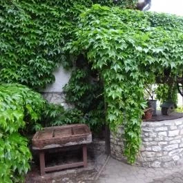 Öreg Prés Butikhotel, Mór - Medence/kert