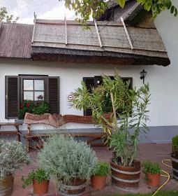 Öreg Tanyacsárda Étterem