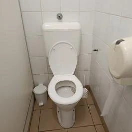 Öreg Tanyacsárda Étterem Lajosmizse - Mosdó